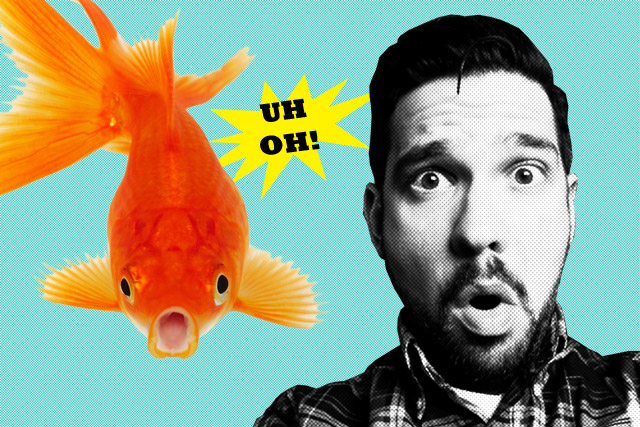 fishes_edit